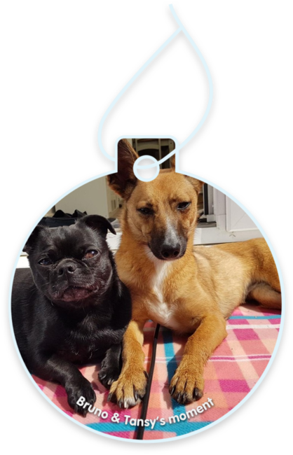 Bruno & Tansy’s moment