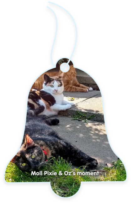 Moll Pixie & Oz’s moment