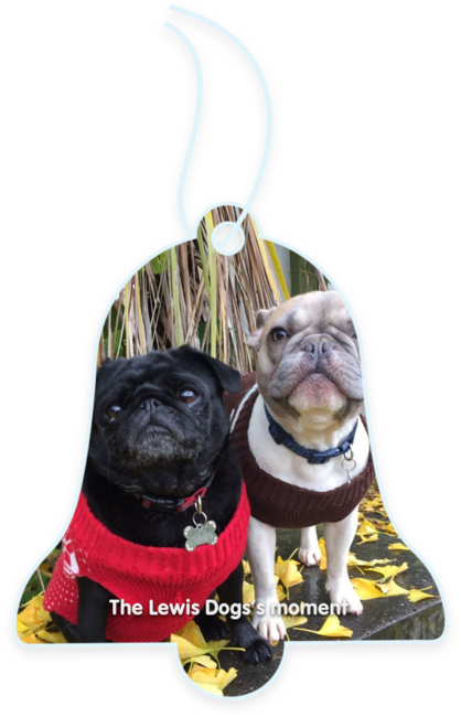 The Lewis Dogs’s moment