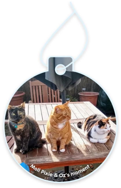 Moll Pixie & Oz’s moment