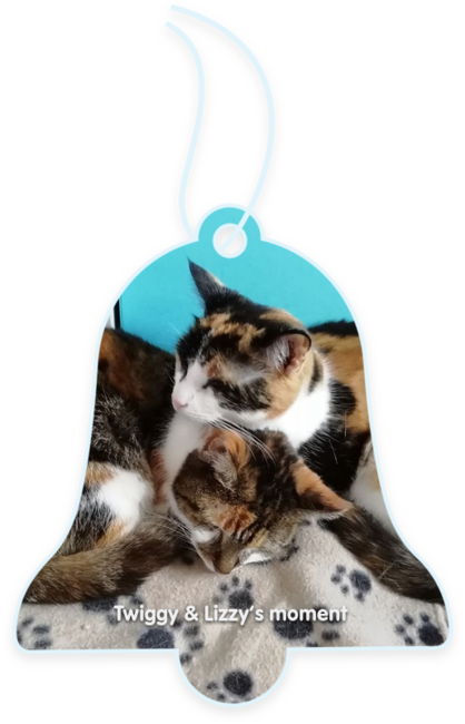 Twiggy & Lizzy’s moment