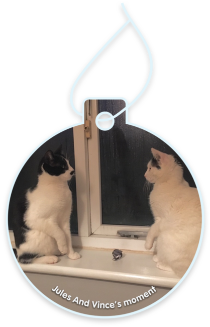 Jules and Vince’s moment