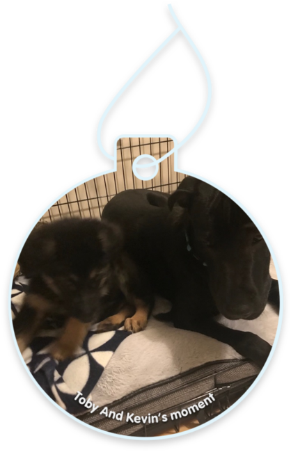 Toby and Kevin’s moment