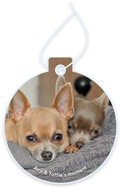 Jorji & Tottie’s moment