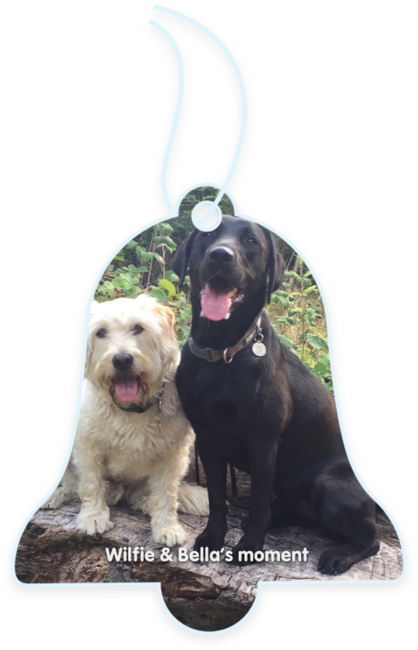 Wilfie & Bella’s moment