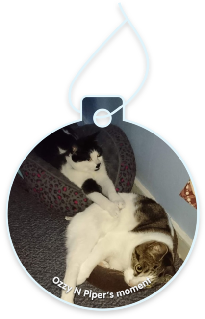 Ozzy n Piper’s moment