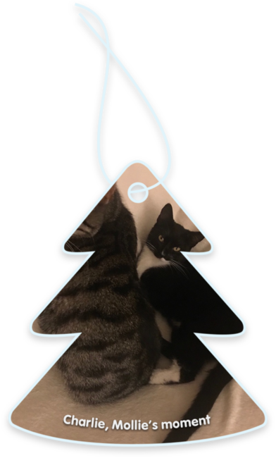 Charlie, mollie’s moment