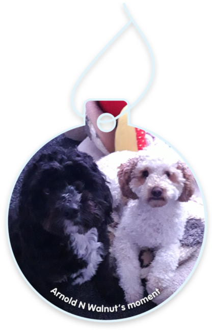 Arnold n walnut’s moment