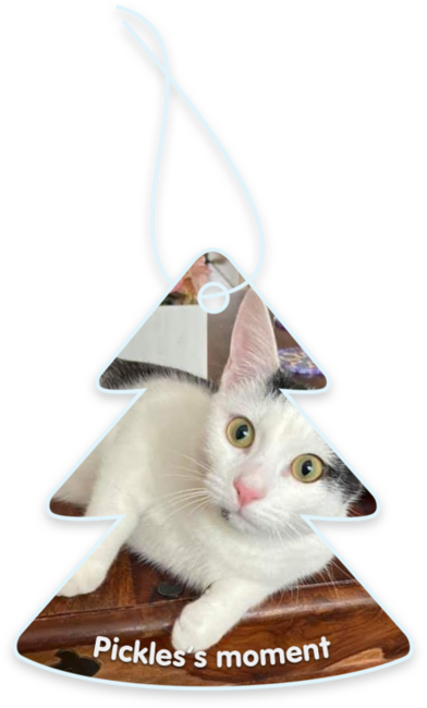 Pickles’s moment