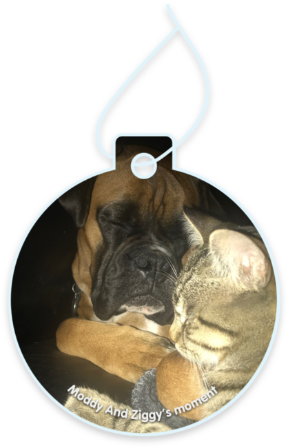 Moddy and ziggy’s moment