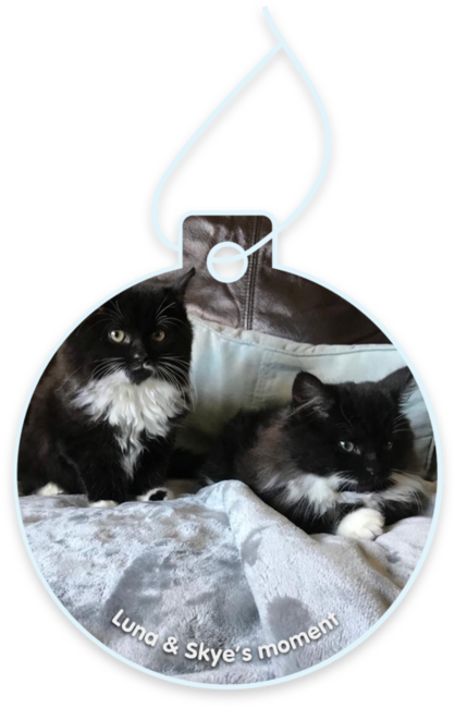 Luna & Skye’s moment