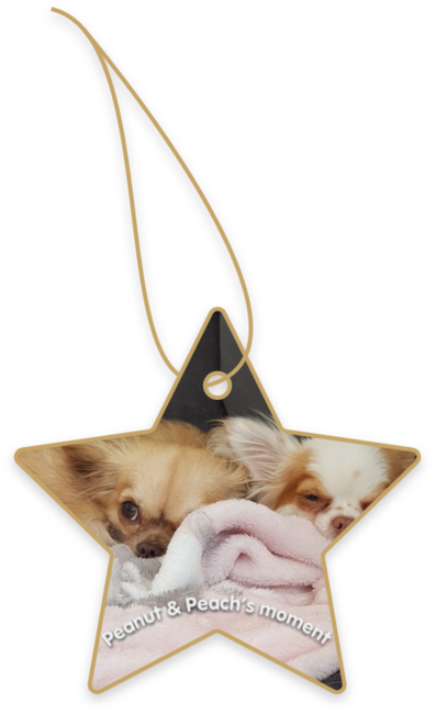 Peanut & Peach’s moment