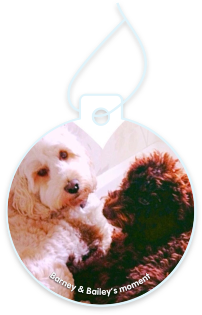 Barney & Bailey’s moment