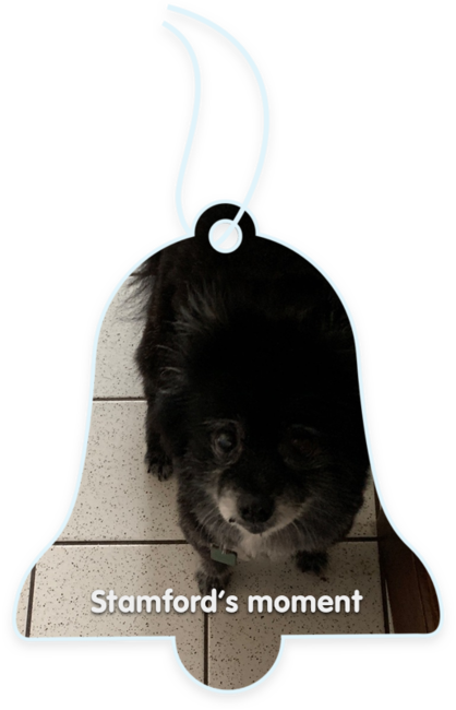 Stamford’s moment