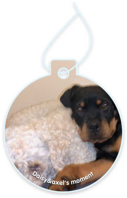 Daisy&Axel’s moment