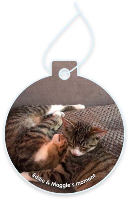 Eddie & maggie’s moment